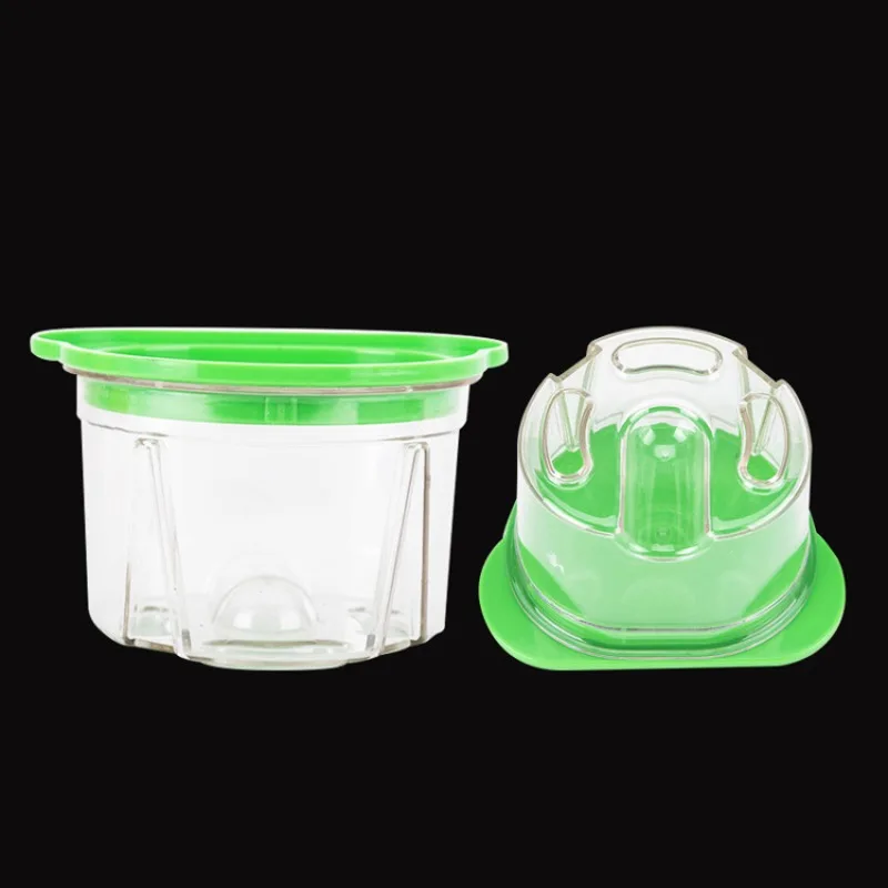Agar Tissue Culture - 3개입 치과용 플라스틱 아가 박스 의치
