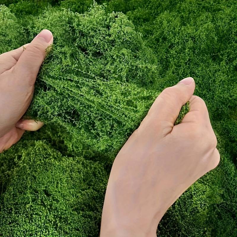 20' X 20' 인조 이끼 매트, 실내 식물용, 화분 - Sphagnum Moss Dry 리뷰 및 가격