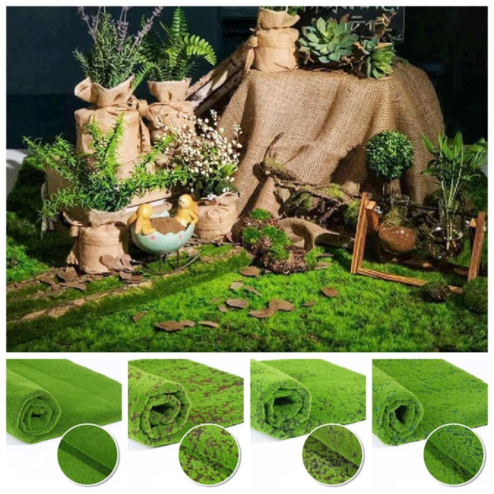 DIY 가짜 이끼 잔디 터프 내구성 있는 영구적인 인공 - Sphagnum Moss Dry 리뷰 및 가격