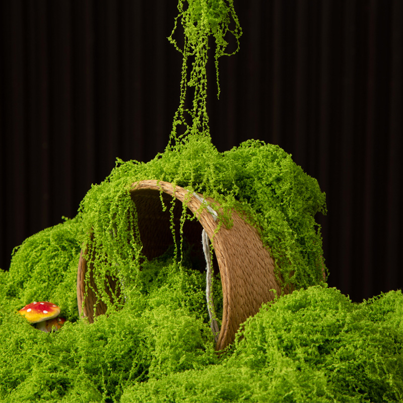 200g 영원한 생명 이끼 DIY 공예 잔디 인공 녹색 - Sphagnum Moss Dry 리뷰 및 가격