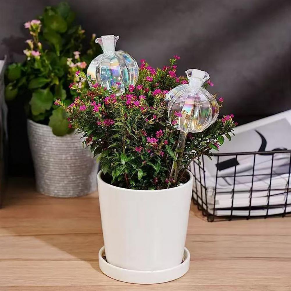 24cm 선인장 자동 급수 벌브 플랜터 인서트 자동화된 - Self Watering Insert 리뷰 및 가격