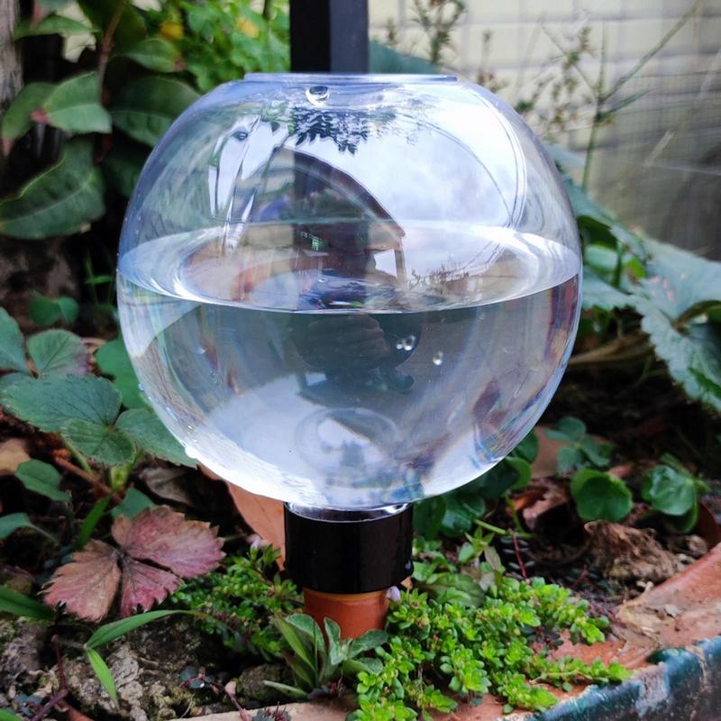 식물 급수 전구 자동 500ml 유리 글로브 화분 삽입 - Self Watering Insert 리뷰 및 가격