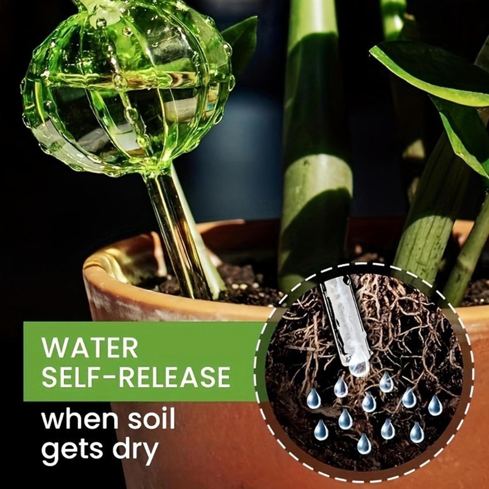 식물 급수 스테이크 3개, 느린 방출 방식, 휴가철 관 - Self Watering Insert 리뷰 및 가격